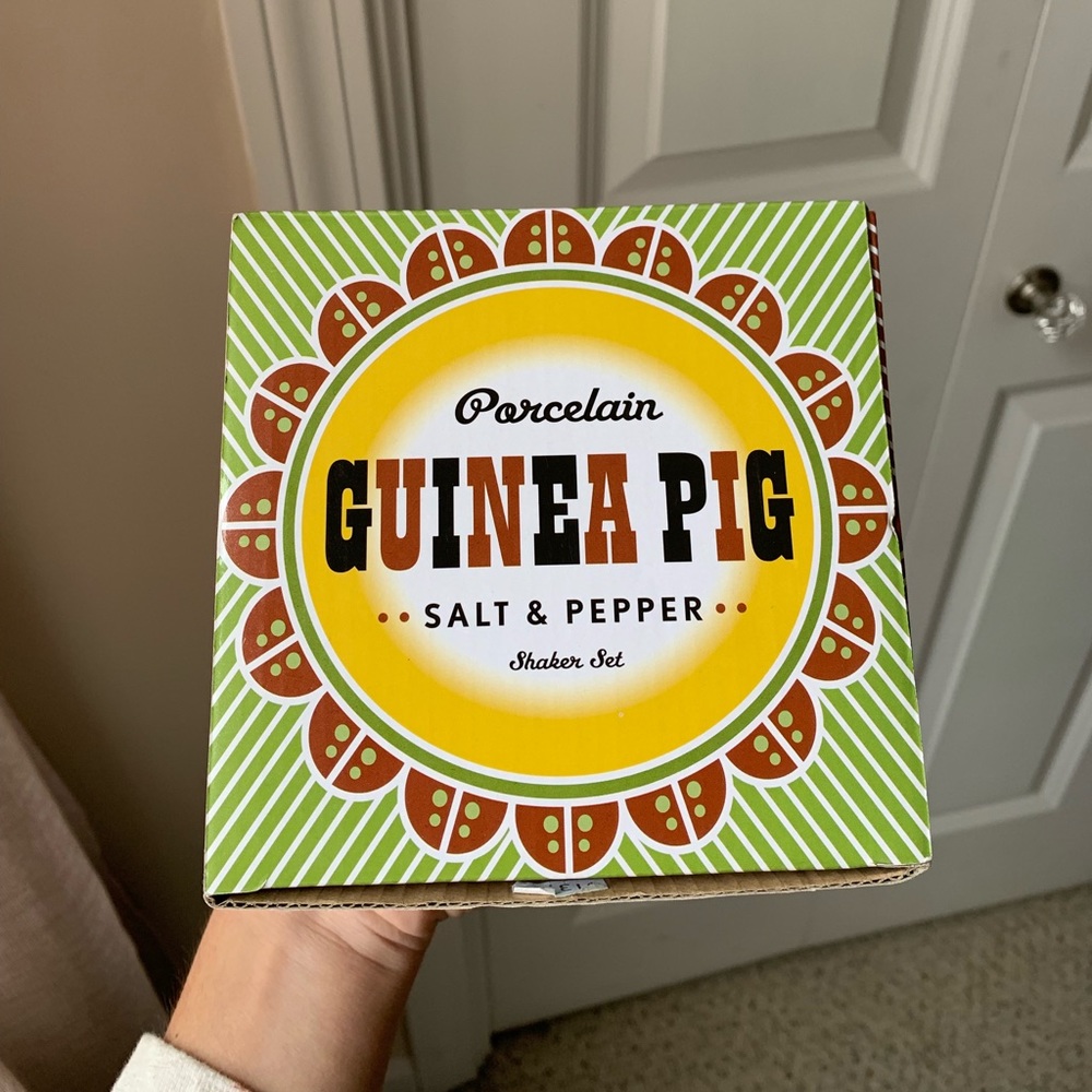 Porcelain guinea pig salt and pepper shakers